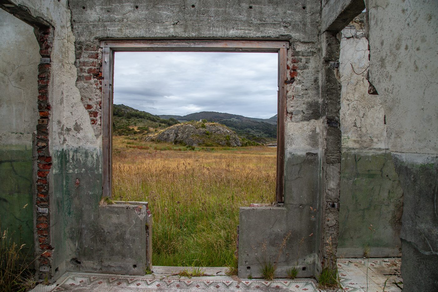 Programa Proveedores para un futuro mejor