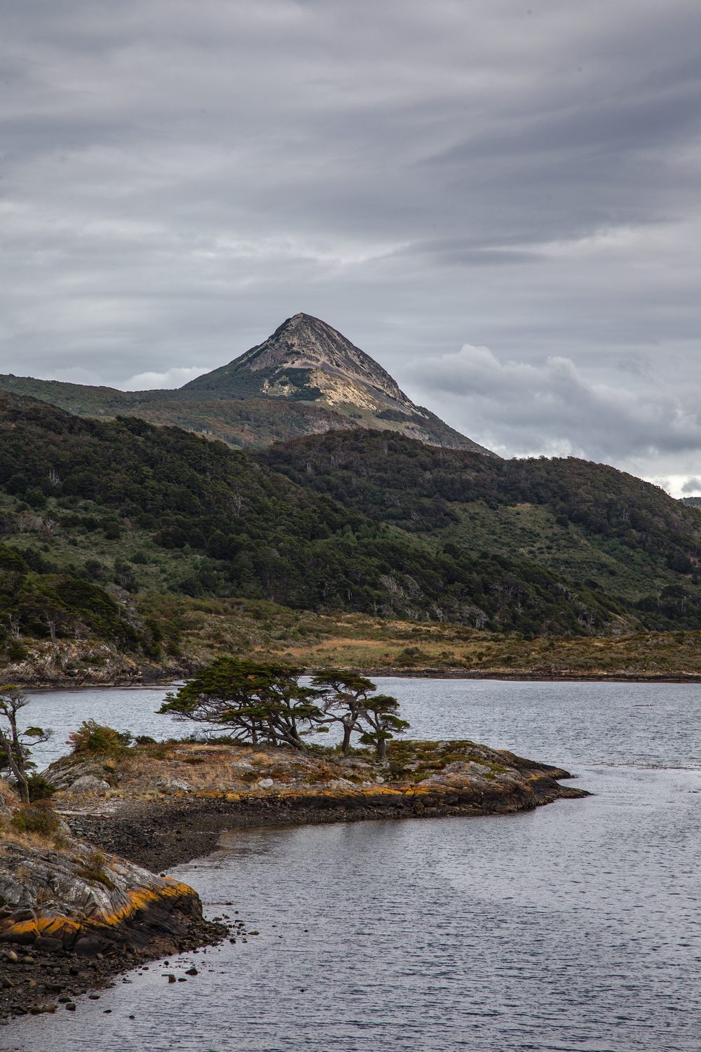 Intervenciones sociales y comunitarias
